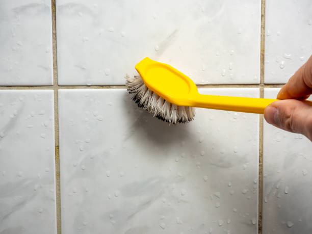 Best Mold Inspection  in Mathis, TX
