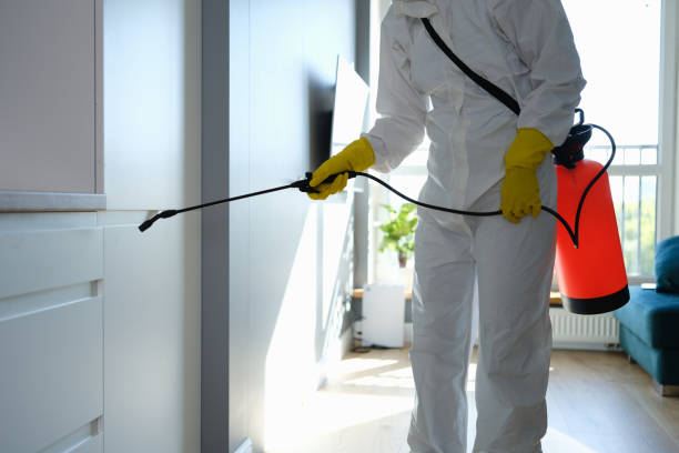 Best Certified Mold Removal  in Mathis, TX