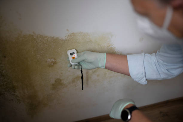 Best Mold Testing  in Mathis, TX