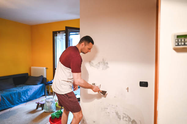 Best Toxic Mold Removal  in Mathis, TX