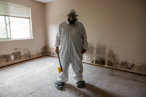 Best Mold Removal Specialists  in Mathis, TX