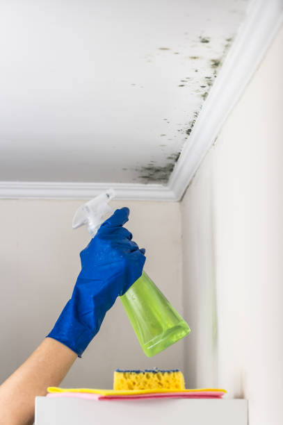 Best Mold Cleaning Services  in Mathis, TX